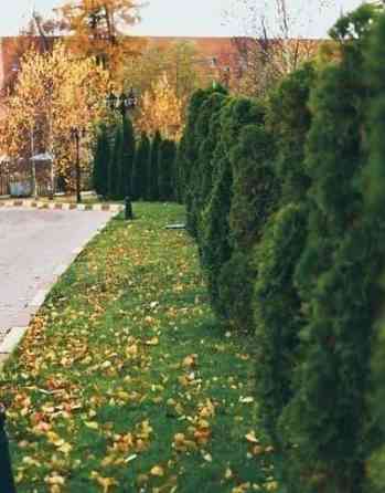 Коттедж, 400 м2 Краснознаменск