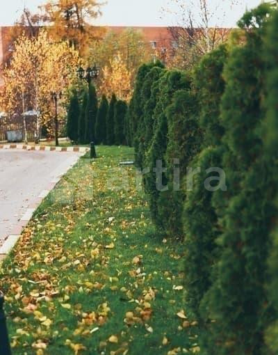 Коттедж, 400 м2 Краснознаменск - изображение 4