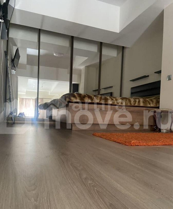 Студия, 45 м2, 1/5 эт. Москва - изображение 4