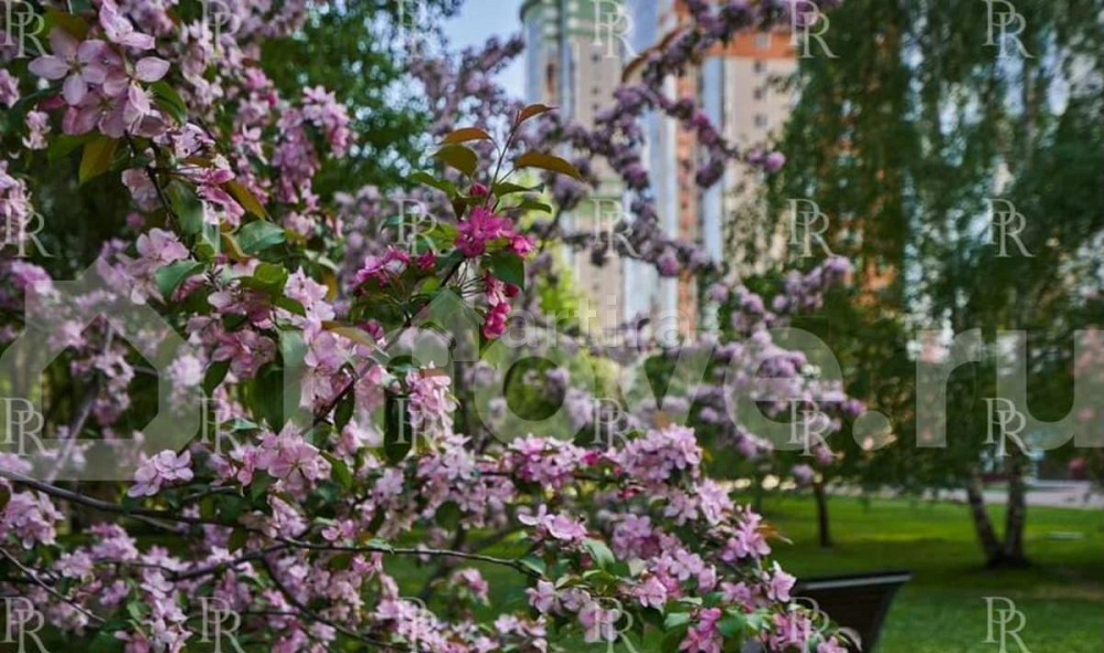 2-комн. квартира, 50.8 м2, 6/14 эт. Москва - изображение 7