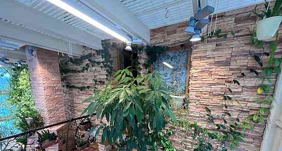 Коттедж, 181 м2, 20 соток, 2 эт. Санкт-Петербург