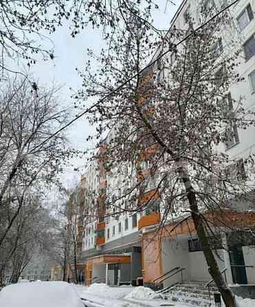 1-комн. квартира, 33 м2, 8/9 эт. Москва