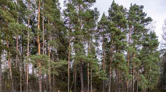 Дом, 850 м2 Щёлково