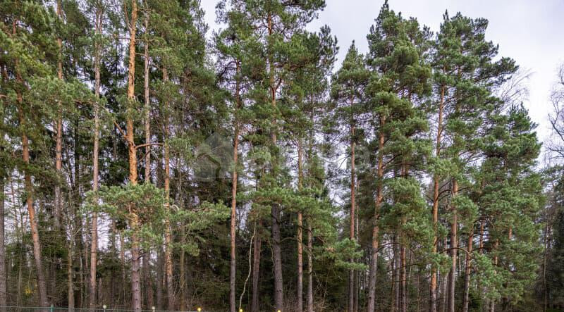 Дом, 850 м2 Щёлково - изображение 4