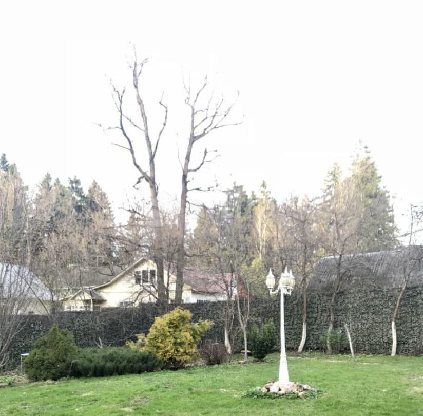 Дом, 130 м2, 8 соток, 2 эт. Одинцово - изображение 7