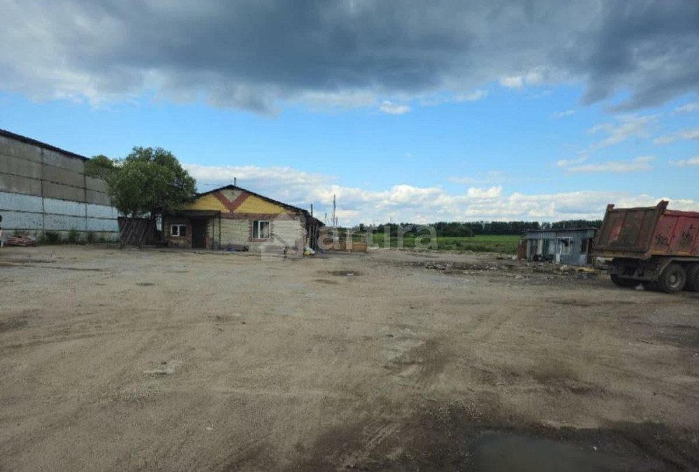 Коммерческий участок, 0.8 га Архангельское - изображение 2