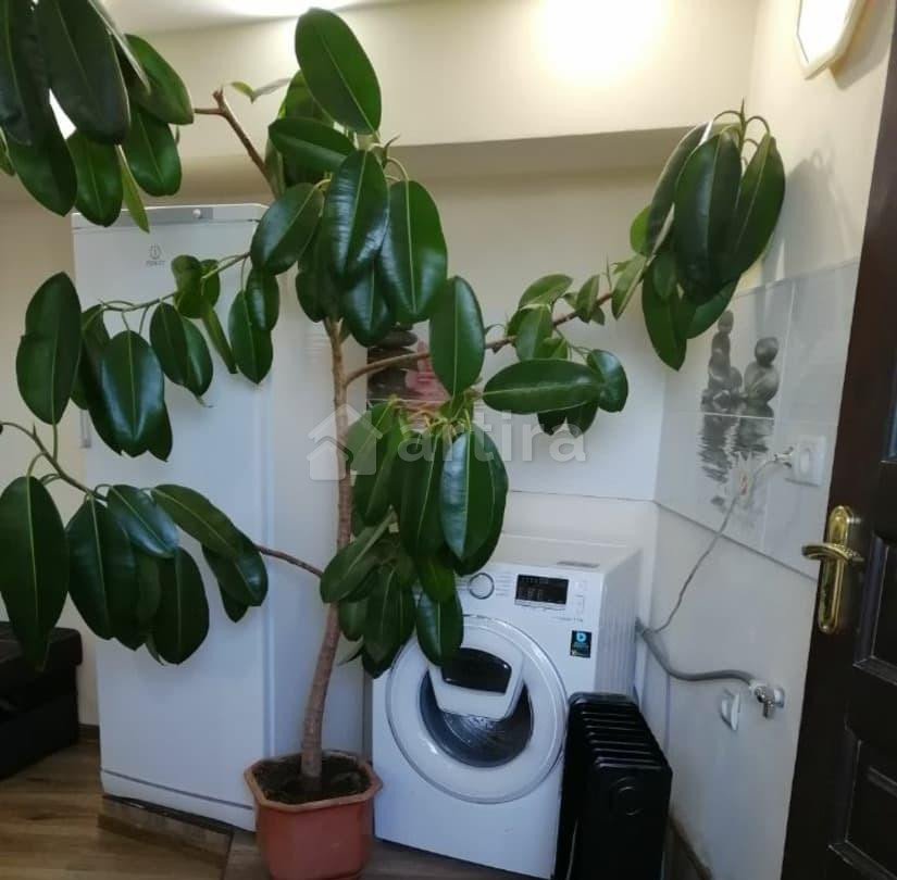 Комната, 23 м2, 1/1 эт. Алупка - изображение 1