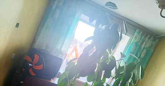 Комната, 14 м2, 3/10 эт. Новосибирск