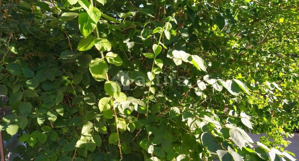 Комната, 73 м2, 2/5 эт. Ижевск - изображение 4