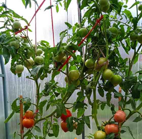 Дом, 50 м2, 4 сотки Уфа