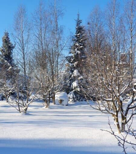 Коттедж, 500 м2 Лобня - изображение 11