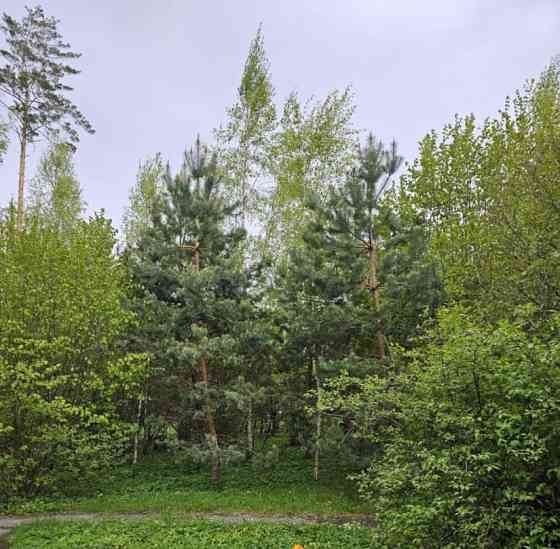 Дом, 170 м2, 30 соток, 2 эт. Одинцово