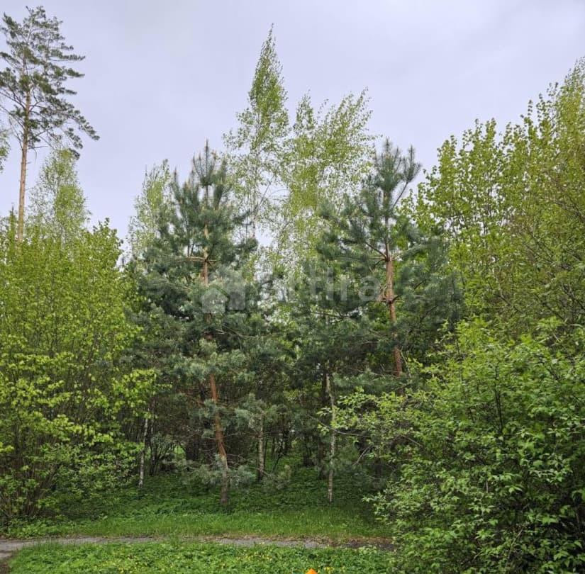 Дом, 170 м2, 30 соток, 2 эт. Одинцово - изображение 4