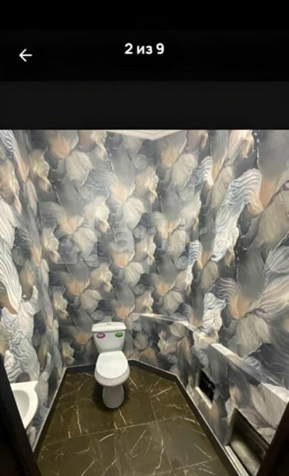 Коттедж, 350 м2, 1.5 га, 3 эт. Новосибирск - изображение 6