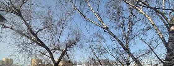 Комната, 19.4 м2, 5/5 эт. Москва