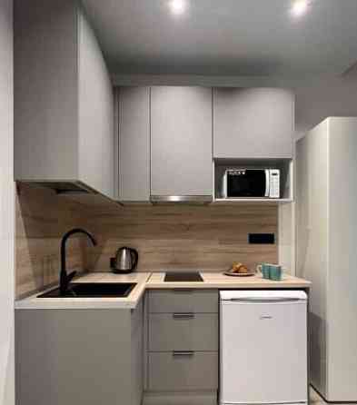 1-комн. квартира, 16 м2, 4/5 эт. Санкт-Петербург