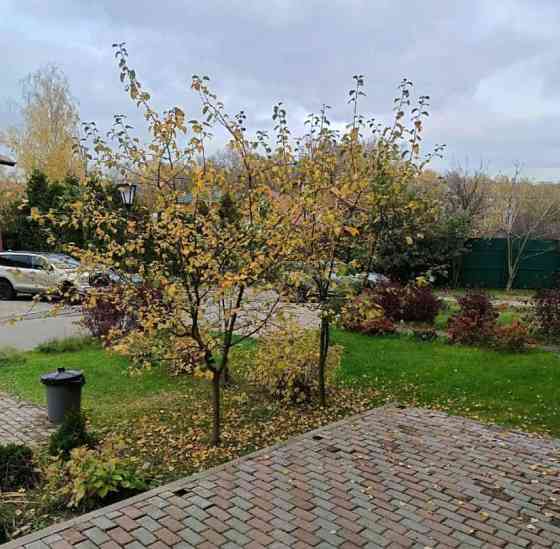 Таунхаус, 115 м2, 1.5 сотки, 3 эт. Москва