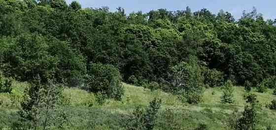 Дом, 44 м2, 10 соток, 1 эт. Светлый