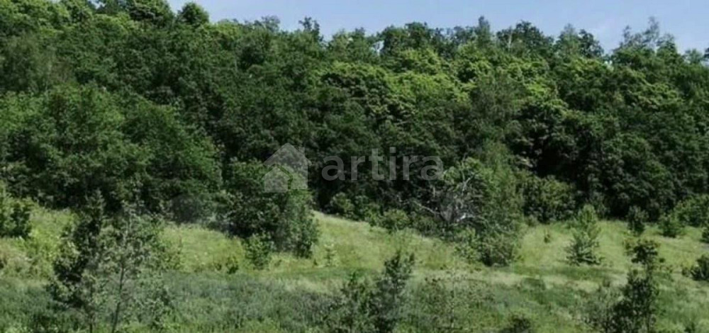 Дом, 44 м2, 10 соток, 1 эт. Светлый - изображение 2