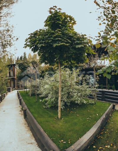 Коттедж, 320 м2 Сосново - изображение 10