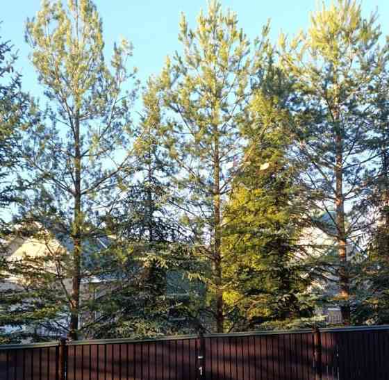 Таунхаус, 200 м2, 1.5 га, 2 эт. Истра