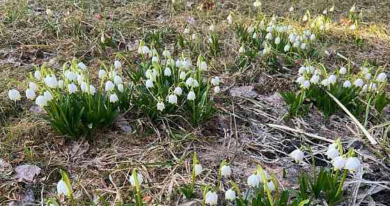 Дом, 70 м2, 6.9 сотки, 1 эт. Красногорск