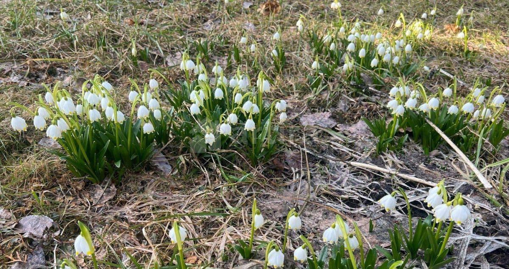 Дом, 70 м2, 6.9 сотки, 1 эт. Красногорск - изображение 4