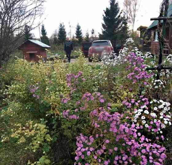 Дом, 60 м2, 40 соток, 2 эт. Балабаново