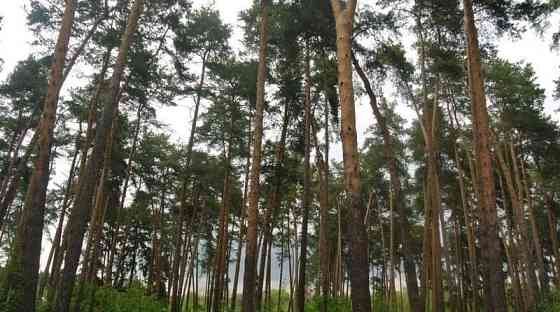 Дом, 80 м2, 8 соток Кратово