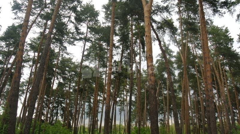 Дом, 80 м2, 8 соток Кратово - изображение 5