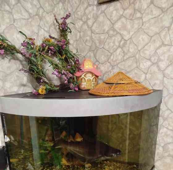 Комната, 78 м2, 7/17 эт. Москва