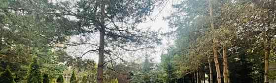 Коттедж, 340 м2, 17 соток, 2 эт. Звенигород