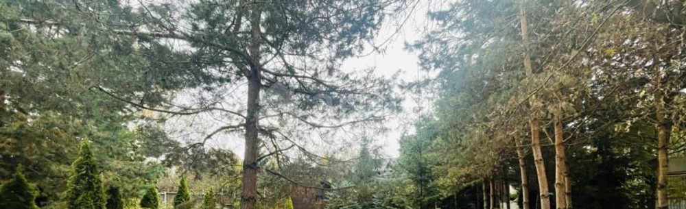 Коттедж, 340 м2, 17 соток, 2 эт. Звенигород - изображение 4