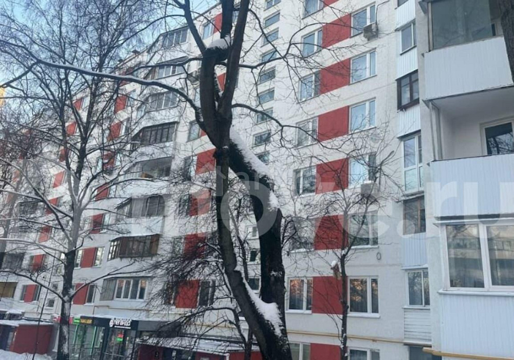 Студия, 20.4 м2, 1/9 эт. Москва - изображение 1