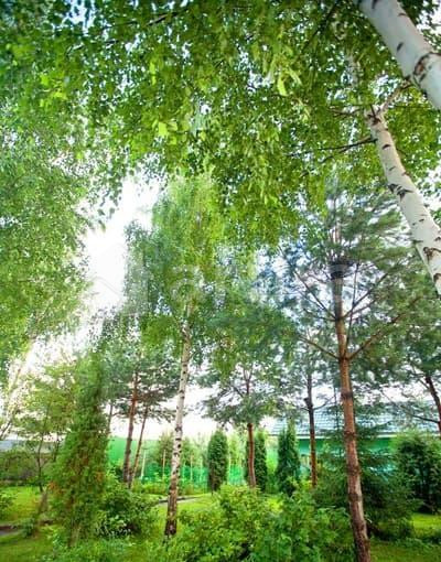 Коттедж, 950 м2 Электроугли - изображение 8