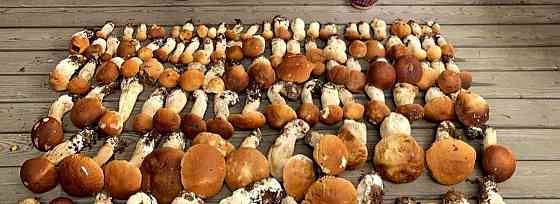 Коттедж, 85 м2, 0.9 га, 1 эт. Волосово