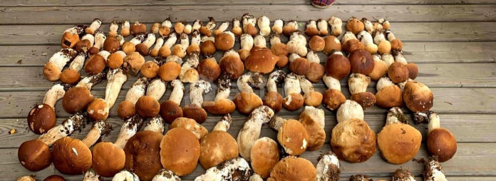 Коттедж, 85 м2, 0.9 га, 1 эт. Волосово - изображение 4