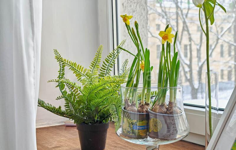 1-комн. апарт-ы, 16 м2, 3/5 эт. Санкт-Петербург - изображение 13