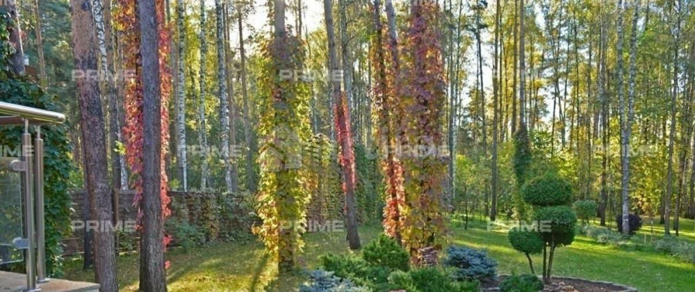 Коттедж, 640 м2, 40 соток, 3 эт. Одинцово - изображение 4