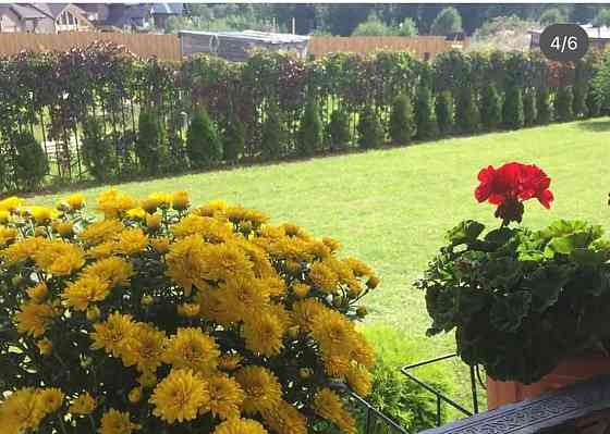 Дом, 180 м2, 12 соток, 3 эт. Москва