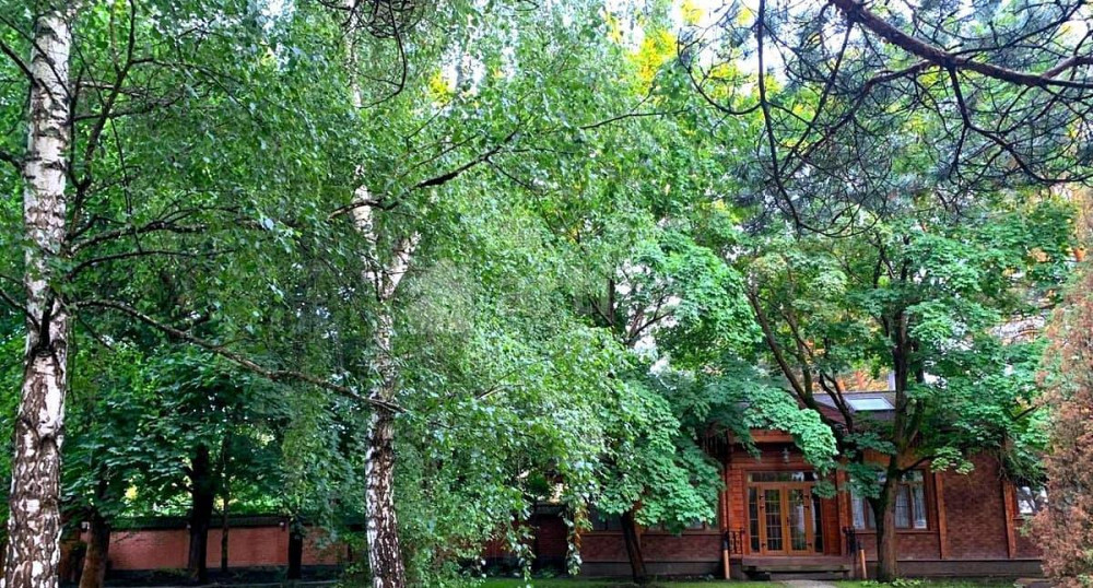 Дом, 350 м2, 17 соток, 3 эт. Одинцово - изображение 6