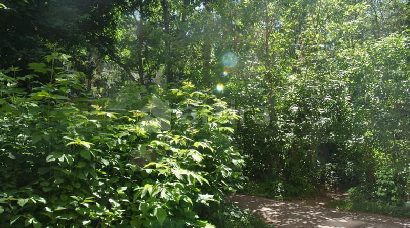 Коттедж, 150 м2, 8 соток Малаховка - изображение 19