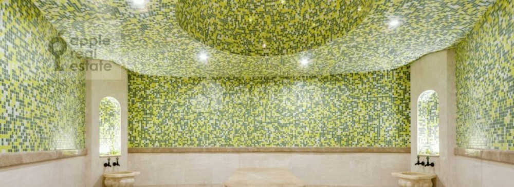 Коттедж, 550 м2, 21 сотка, 1 эт. Солнечногорск - изображение 7