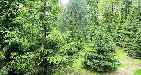 Дом, 400 м2, 23 сотки, 2 эт. Одинцово