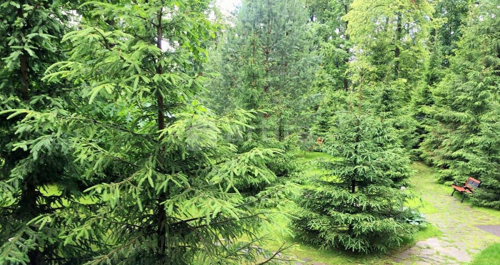 Дом, 400 м2, 23 сотки, 2 эт. Одинцово - изображение 1