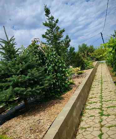 Дача, 200 м2, 6 соток, 2 эт. Волгоград