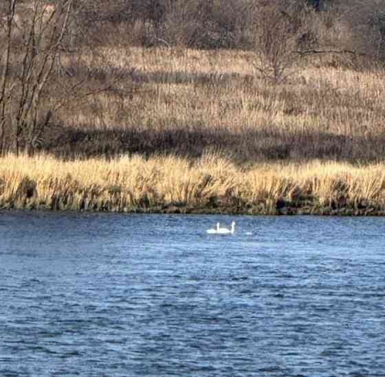 Дом, 63 м2, 15 соток, 1 эт. Красная Горка