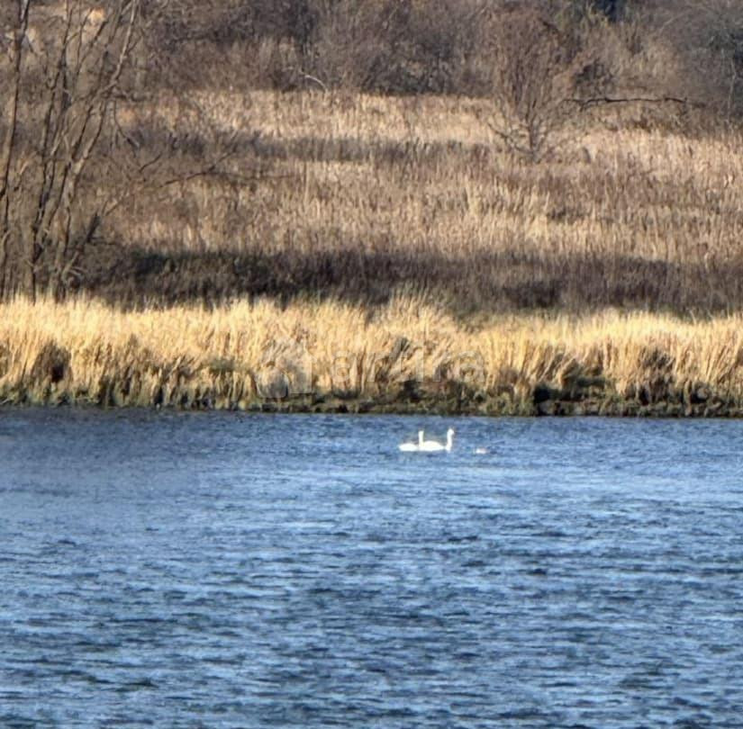 Дом, 63 м2, 15 соток, 1 эт. Красная Горка - изображение 6