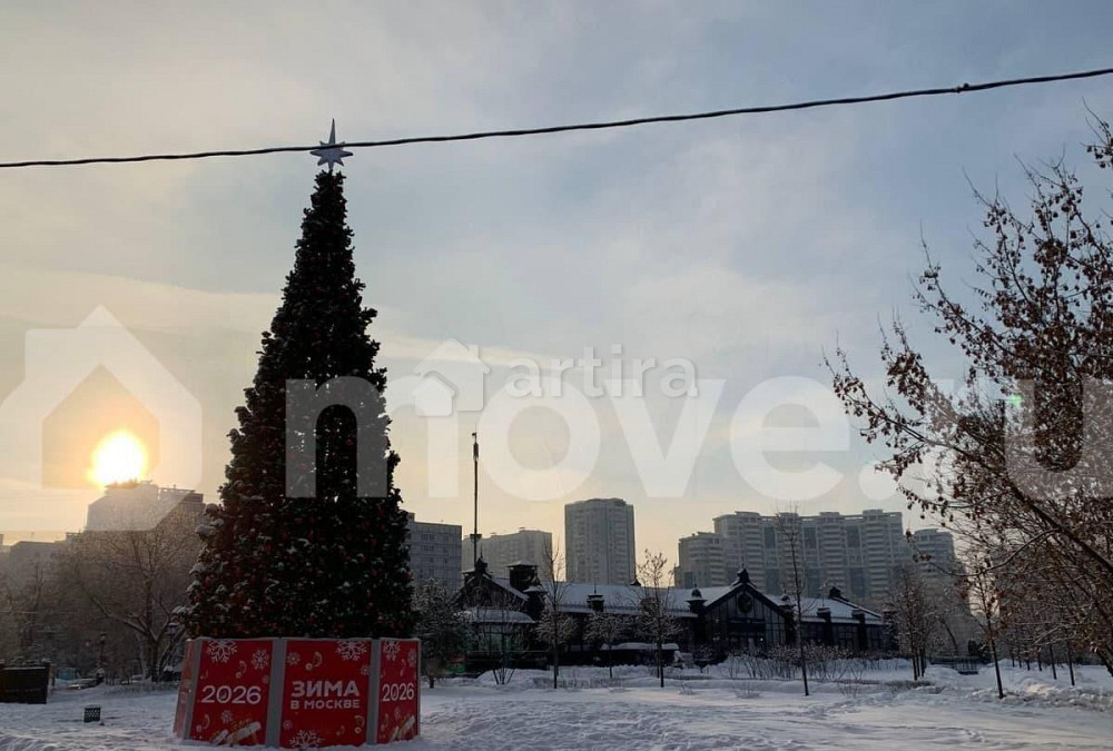 Студия, 12 м2, 1/9 эт. Москва - изображение 2