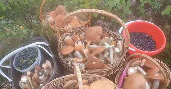 Коттедж, 135 м2, 1 сотка, 2 эт. Рощино